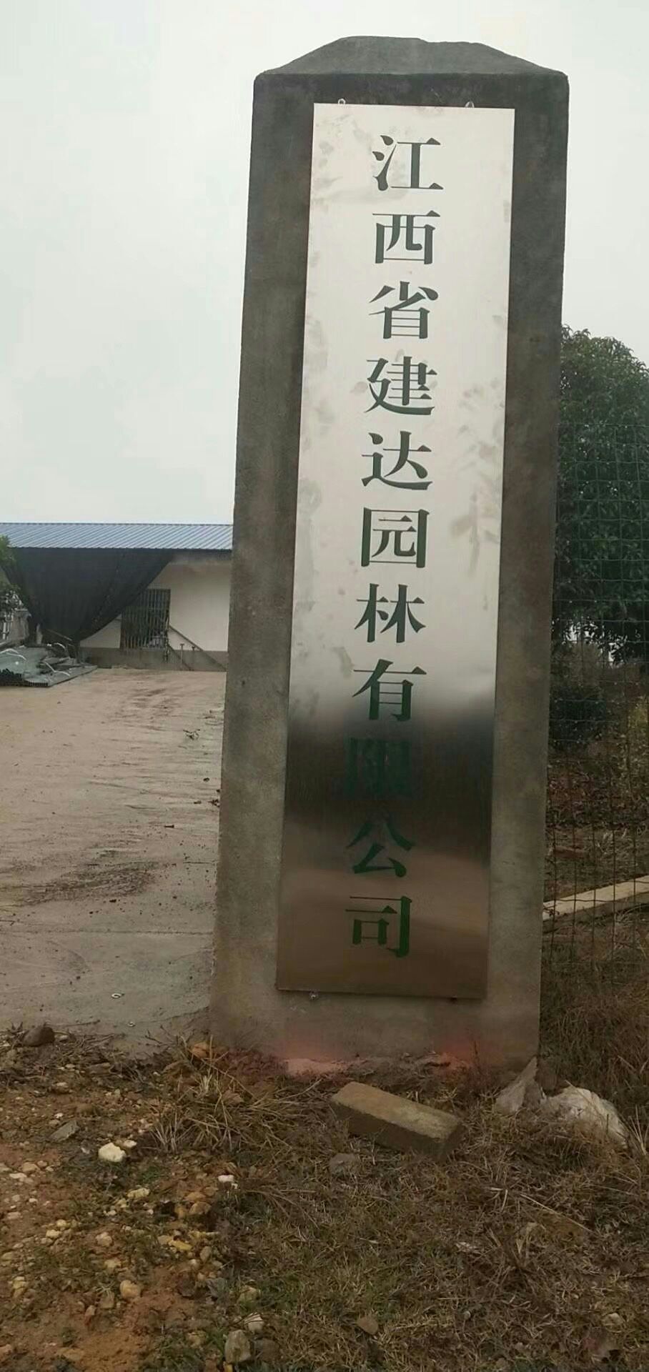 建达.jpg